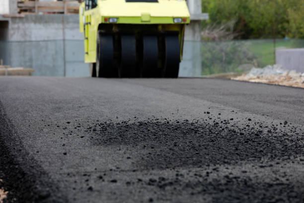 Best Local Driveway Pavers  in Logan, NM