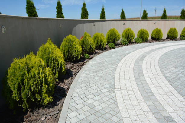 Best Residential Driveway Paver Services  in Logan, NM